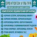 Капсули для чоловіків 60 капсул підтримка потенції лібідо витривалість урогенітальний комфорт Еректоген Ультра, фото 3
