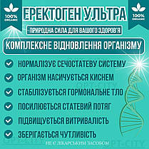 Капсули для потенції 60 капсул Еректоген Ультра для здоров'я сечостатевої системи чоловічої сили та лібідо, фото 5