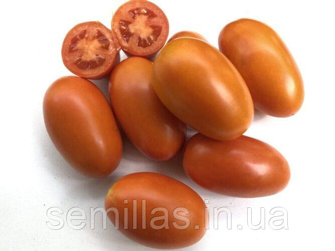 Насіння томата Оранж Плам F1, 500 шт., помаранчева сливка, переробка, Spark Seeds