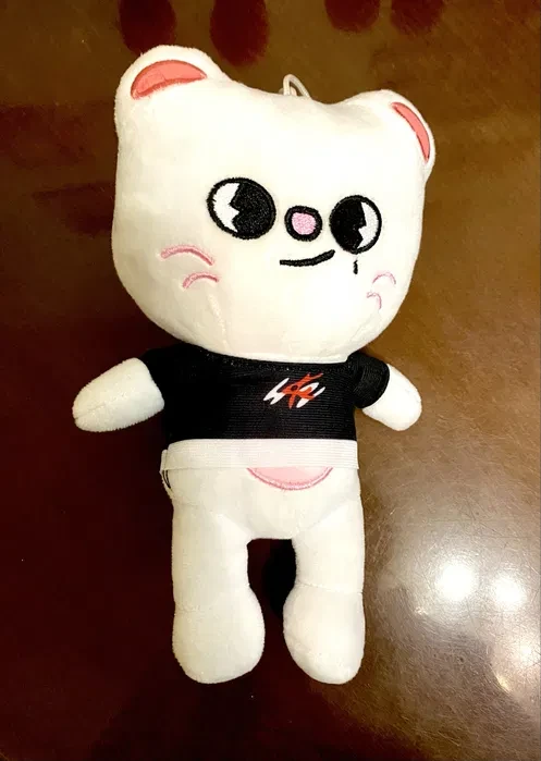 Джиніред 22 см Stray kids Skzoo м'яка іграшка стрей кідс Jinired хеджин ласка кіт хйонджина бродливі діти, фото 1