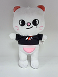 Джиніред 22 см Stray kids Skzoo м'яка іграшка стрей кідс Jinired хеджин ласка кіт хйонджина бродливі діти, фото 6