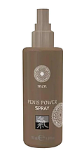 Спрей стимулюючий для чоловіків SHIATSU Power Spray, 30 мл