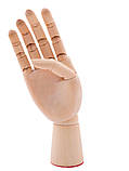 Модель " Дерев'яна Рука " 18 см, права, фото 2