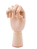 Модель " Дерев'яна Рука " 18 см, права, фото 5