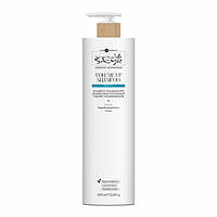 Шампунь для об'єму Hair Company Luminescina Inimitable Style Volume 1000 мл