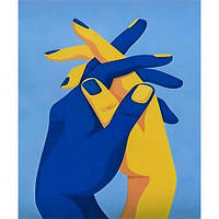 Алмазний живопис 40х50 IMAGE45 у картонній коробці купити дешево оптом в інтернет-магазині