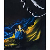 Алмазний живопис 40х50 IMAGE79 у картонній коробці купити дешево оптом в інтернет-магазині