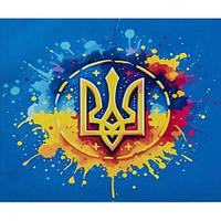 Алмазний живопис 40х50 IMAGE96 у картонній коробці купити дешево оптом в інтернет-магазині