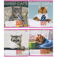 Від 20 шт. Зошит кольоровий 12 аркушів, лінія 3431N  купити дешево оптом в інтернет-магазині