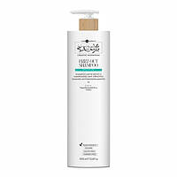 Шампунь розгладжуючий для волосся Hair Company Anti Frizz Shampoo 1000 мл