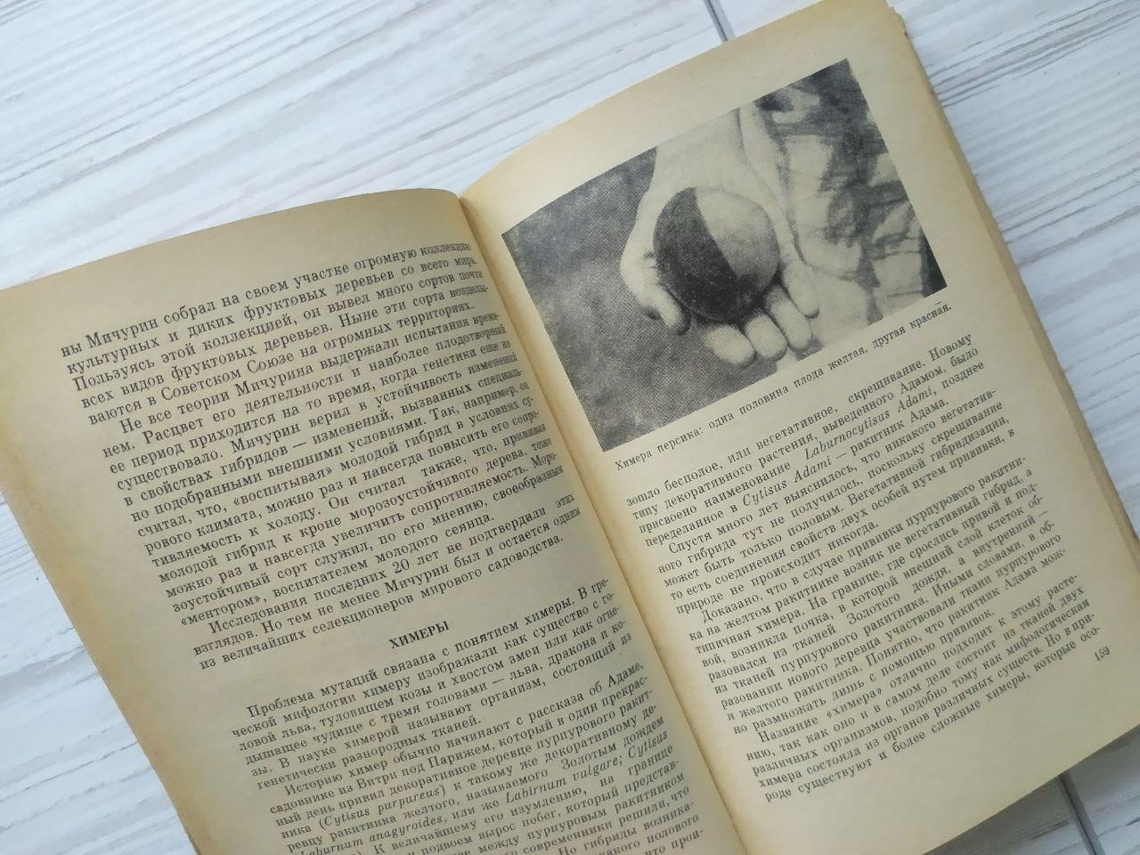 Product image preview