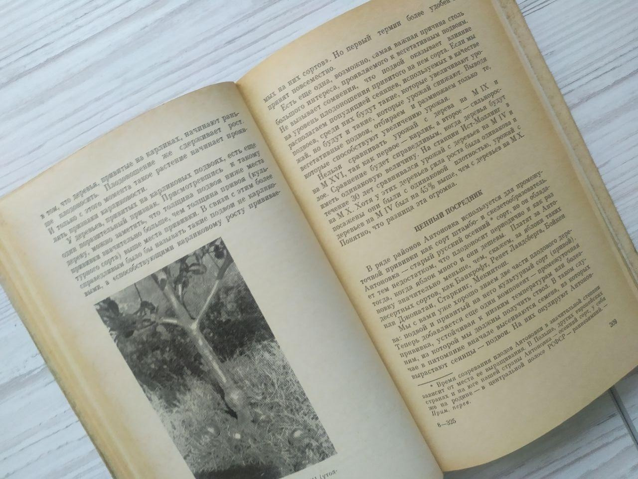 Product image preview