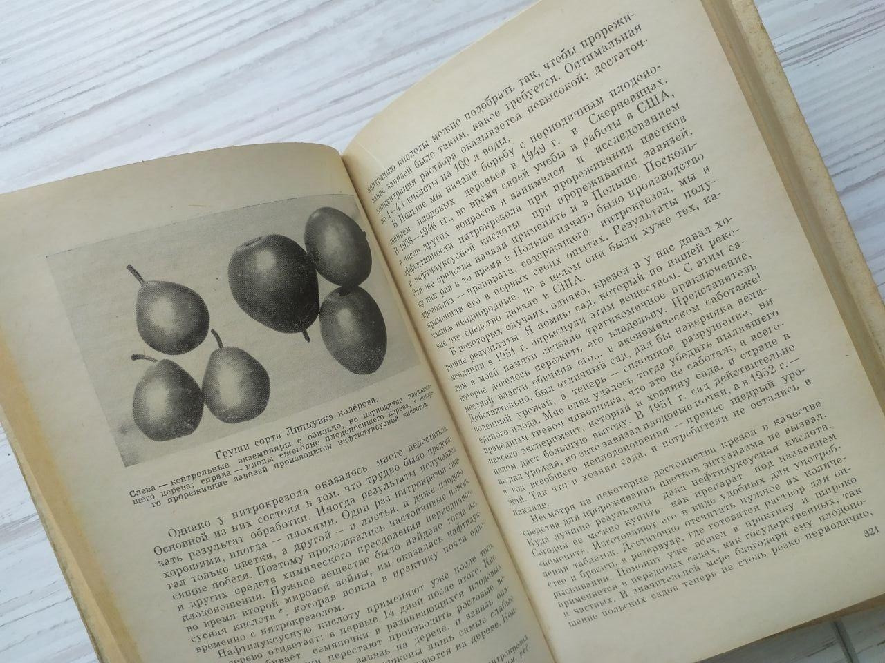 Product image preview