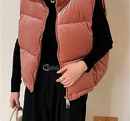 Базова жіноча тепла стильна замшева велюрова весняна безрукавка замша 200 жилет на блискавці з велюру Пудра, 42/44