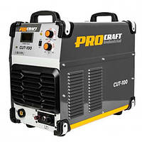 Плазморізи