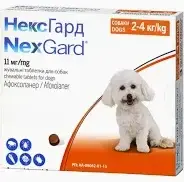 Нексгард таблетки від бліх і кліщів для собак вагою 2-4 кг, 1 таблетка