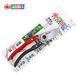 Секатор садовий площинний Sagawata, 210 мм із неіржавкої клинкової сталі із запасною пружиною, фото 10