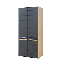 Шафа 2Д з ДСП/МДФ у вітальню Б'янко дуб артизан/графіт Світ Меблів