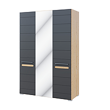 Шафа Шафа 3ДЗ з ДСП/МДФ у вітальню Б'янко дуб артизан/графіт Світ Меблів