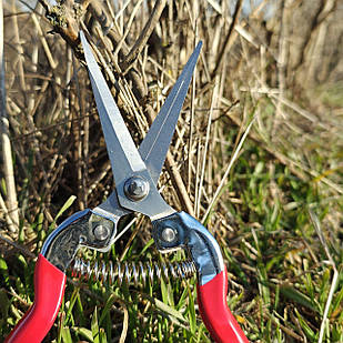 Професійні садові ножиці-секатор P-1702 для обрізання трави, чагарників, винограду та квітів