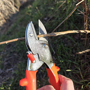 Секатор садовий ручний JING DIAN D-2000 для обрізання рослин винограду, дерев і квітів