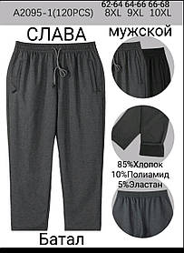 Чоловічі спортивні штани "Слава" №А2095-1 р.8XL,9XL,10XL (62-68)