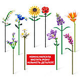 Конструктор в капсулі Max S1 – Садові квіти, фото 5