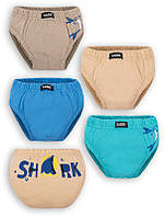 Труси дитячі для хлопчика Gabbi TRM-20-4 (4 шт) р. 34