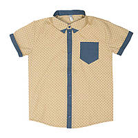 Сорочка дитяча для хлопчика Gabbi RB-3 з коротким рукавом літо р. 86 жовтий