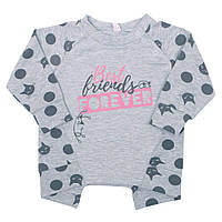 Джемпер дитячий для дівчинки "Кішечки" Gabbi DG-06-18 двонитка з начісом зима р. 68 сірий