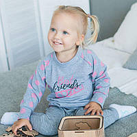 Джемпер дитячий для дівчинки "Кішечки" Gabbi DG-06-18 двонитка з начісом зима р. 74 рожевий