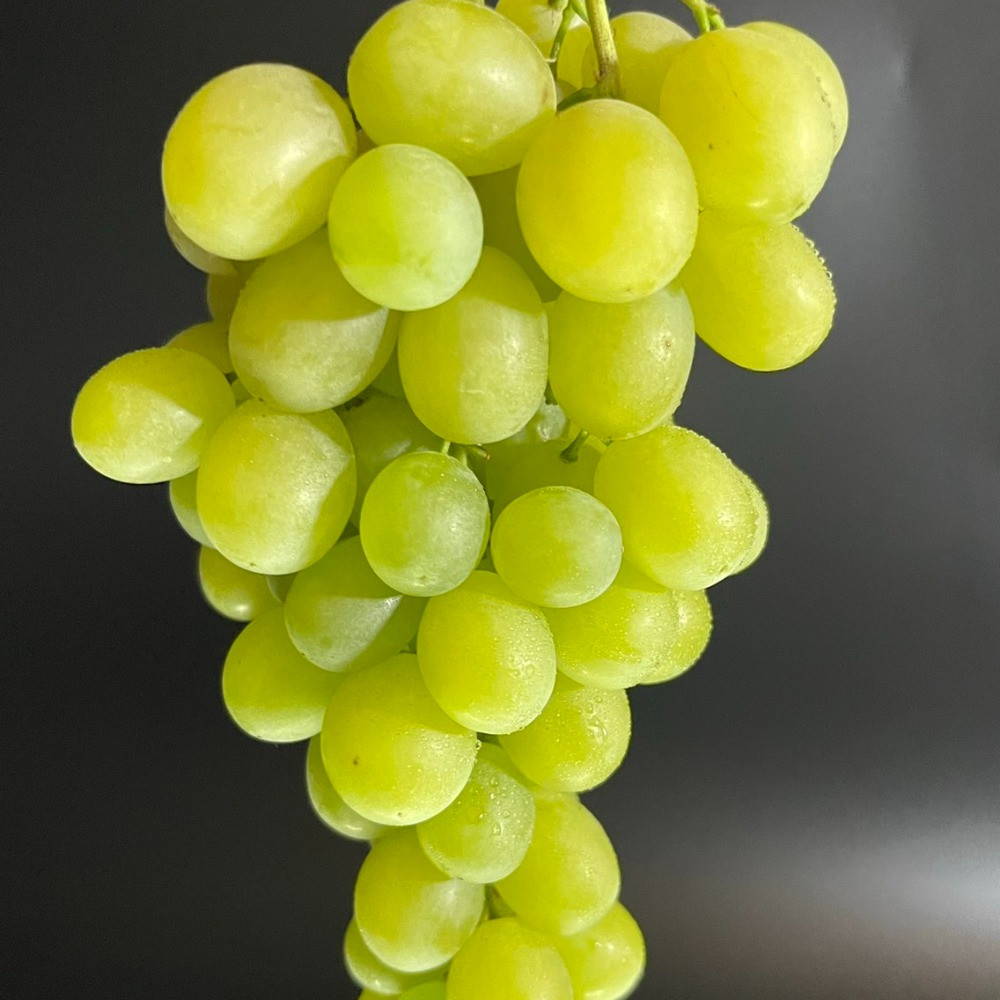 Виноград кишмиш Рататуй, фото 1