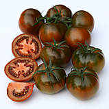 Сашер F1 (100 нас.) насіння томату Yuksel seeds, фото 3