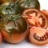 Сашер F1 (100 нас.) насіння томату Yuksel seeds, фото 2