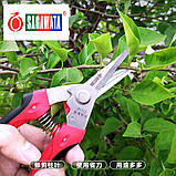 Секатор-ножиці 200 мм Sagawata, садові, кругла голова, з неіржавкої сталі, фото 8