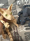 3D фігурка свінкс , шарнірна іграшка, рухома іграшка свинкс кіт, кішка, фото 2
