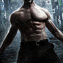 Плакат "Логан, Росомаха, Wolverine", 60×42см, фото 3