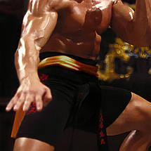 Плакат "Кривавий спорт, Жан-Клод Ван Дамм, Bloodsport (1988)", 60×43см, фото 2