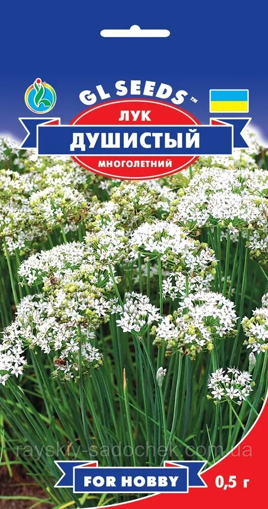 Насіння Цибуля запашна (0.5г) TM GL Seeds