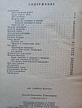 Плавільників Н.Н. Гомункулус. (б/у)., фото 7