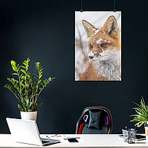 Плакат "Лисиця у снігу", 60×40см, фото 3