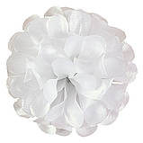 Хризантема атлас, 11см, фото 4