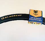 Покришка 700×25 (25×622) BLACK CAT. Шина 622х25. Гума 700х25, фото 9