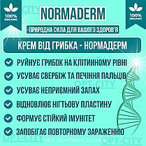 НормаДерм 3 флакони протигрибковий крем від грибка NormaDerm ефективний від грибку, фото 3