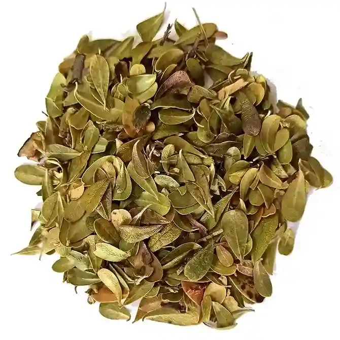 Толокнянка лист (медвеже вушко) 1000 г, фото 1