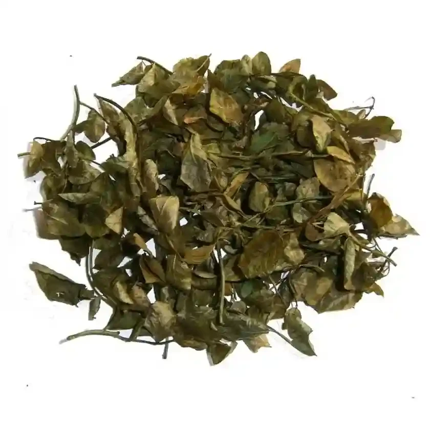 Чорниця (пагони) лист 500 г, фото 1