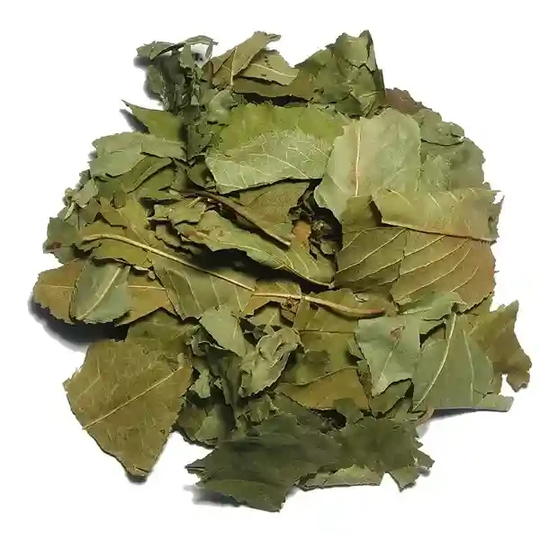 Вишня лист 1000 г, фото 1