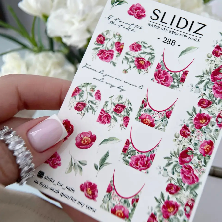 Слайдер-дизайн SLIDIZ 288, фото 1