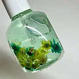 BCL Green Tea + Repairing Peptides Oil - сквалан для нігтів Зелений Чай + Відновлюючі Пептиди, 29 мл, фото 4