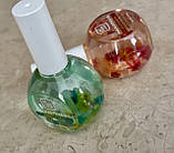 BCL Mandarin Oil + Nourishing Peptides, 29 мл - сквалан для нігтів Мандарин + Живильні Пептиди, фото 9